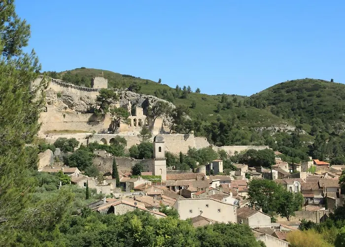 Les Lavandes De Severine