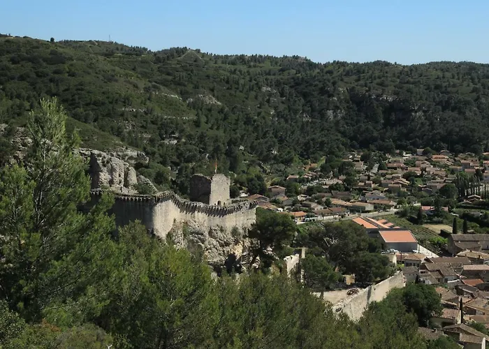 Les Lavandes De Severine